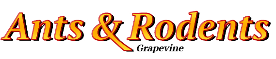Grapevine Ant Exterminator & Rodent Control Company Logo